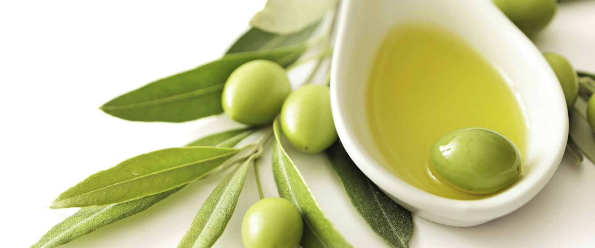 Unlocking the Heart Health Benefits of Olive Leaf Extract