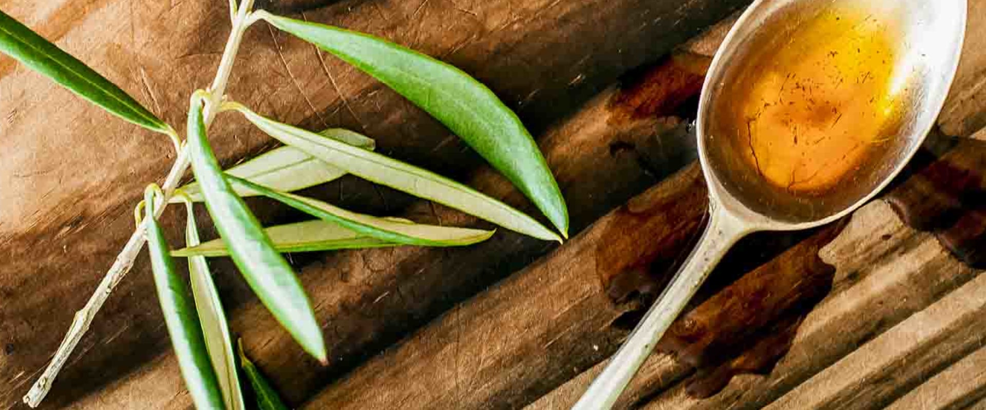 Unlocking the Benefits of Olive Leaf Extract for Gut Health