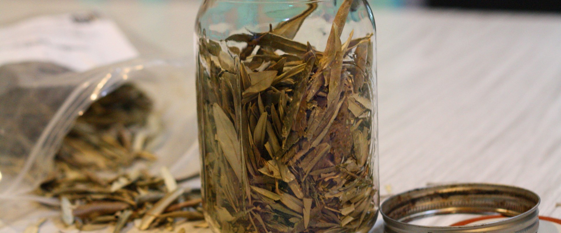 Unlocking the Benefits of Olive Leaf Extract: A Nighttime Wellness Secret