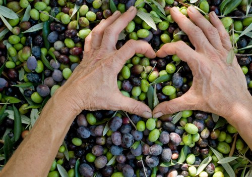 The Incredible Health Benefits of Olive Leaf Extract